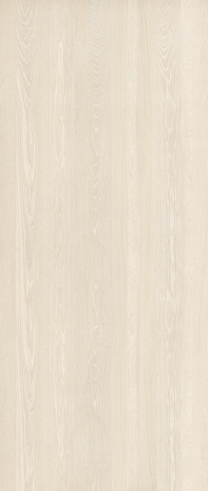 Chapa da pedra Royal Poplar